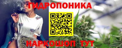 спайс Гусев