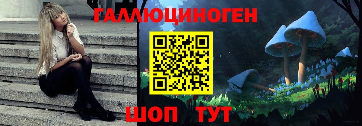 Майкоп  Галлюциногенные грибы Cubensis  Вход с VPN 